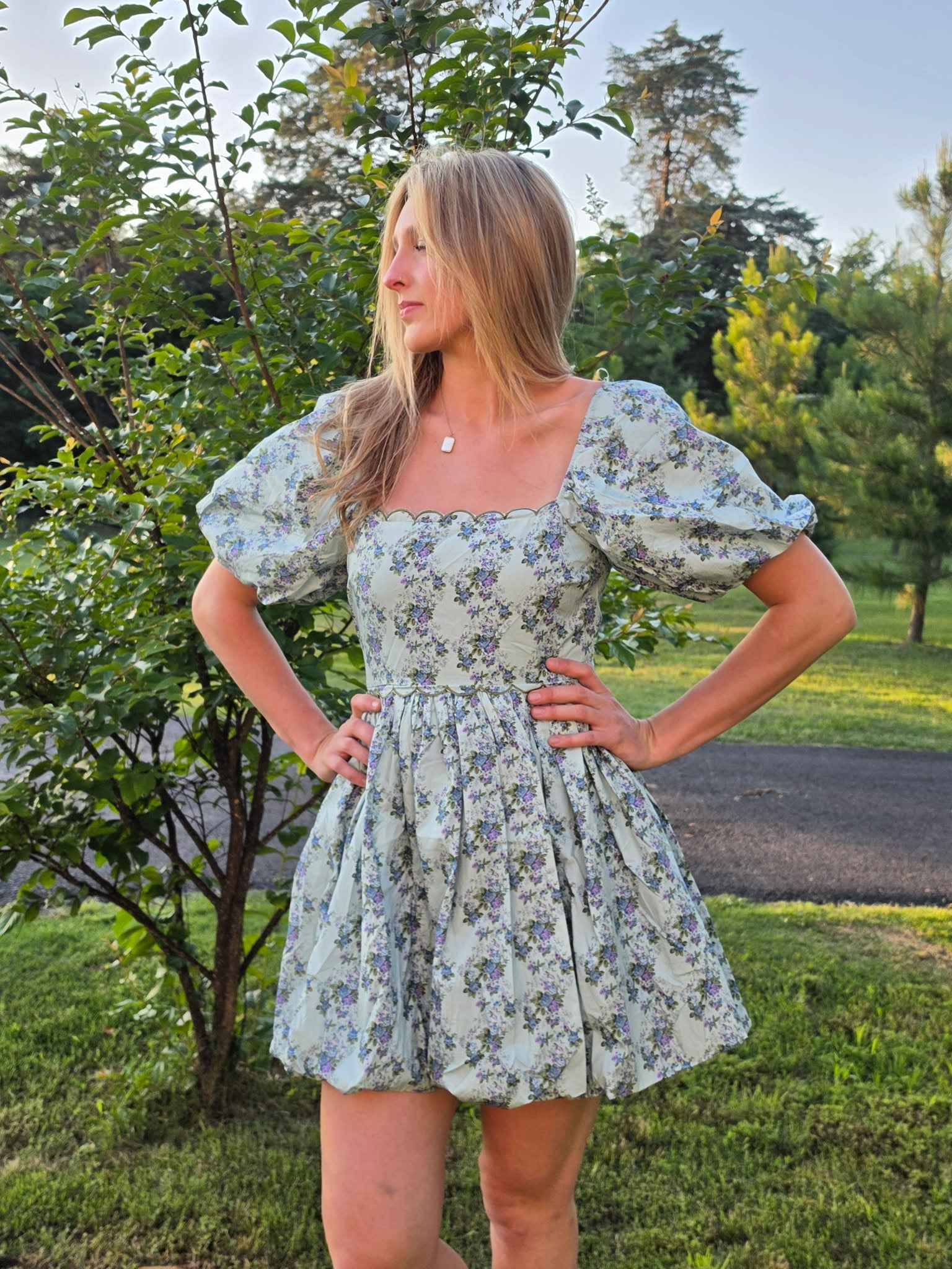 Floral Scallop Embroidery Mini Dress