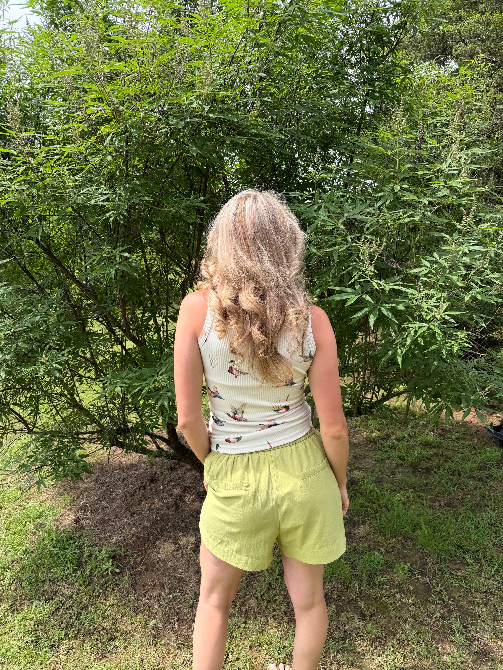 Boxer Trouser Shorts in Green